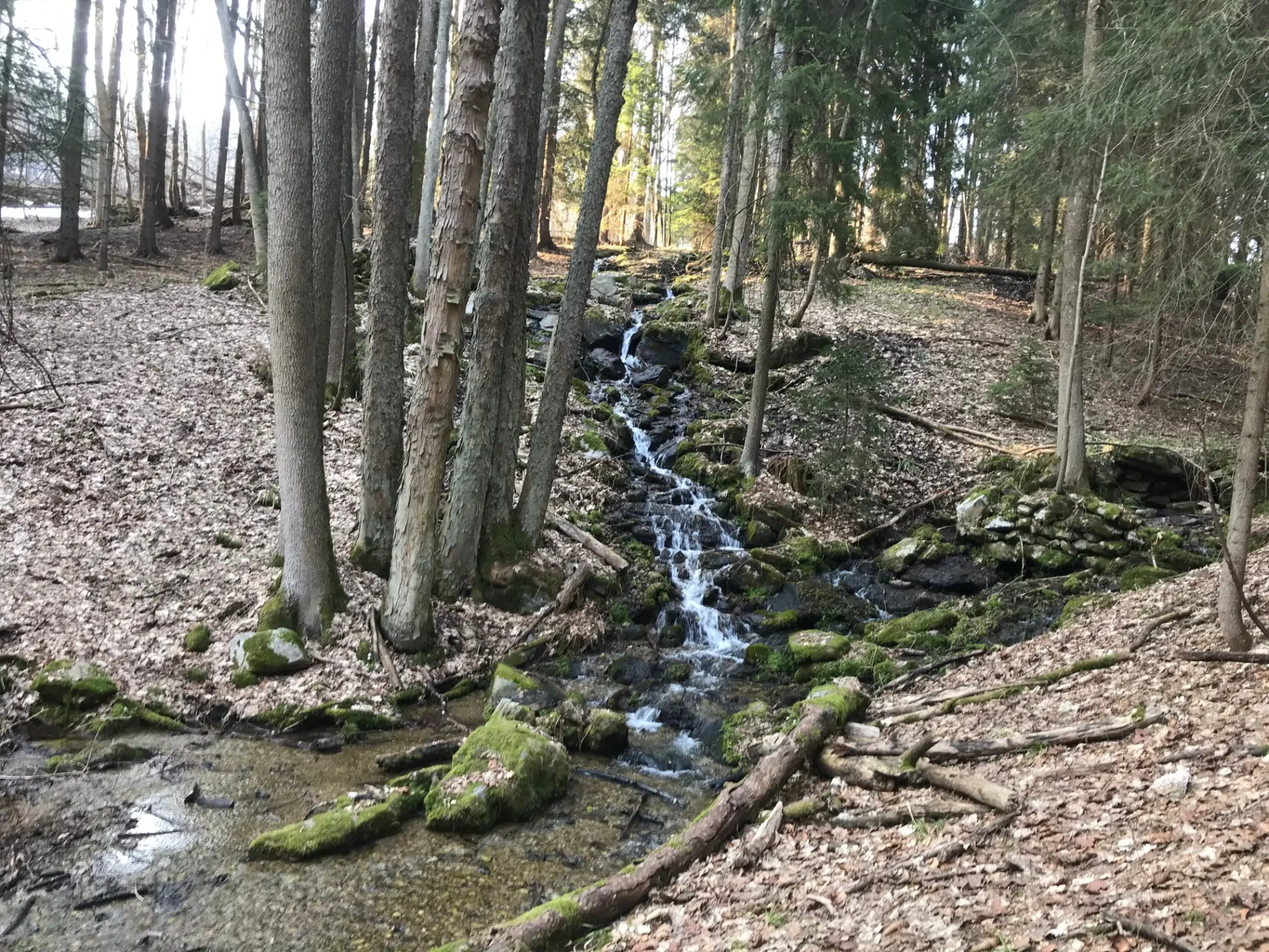 Featured image for “Havírnou na Štěpánku ⛰️🌲”