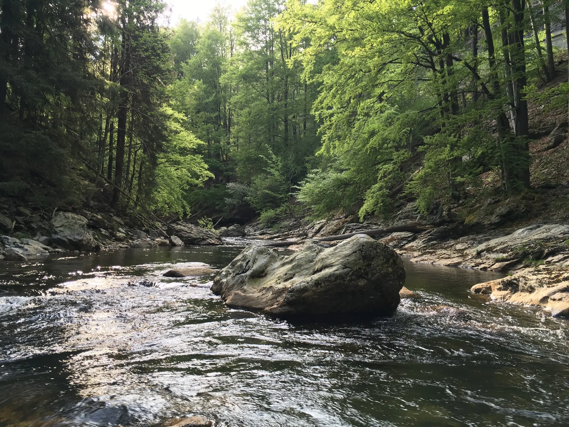 Featured image for “Koupání v Jizeře 💦🌞”