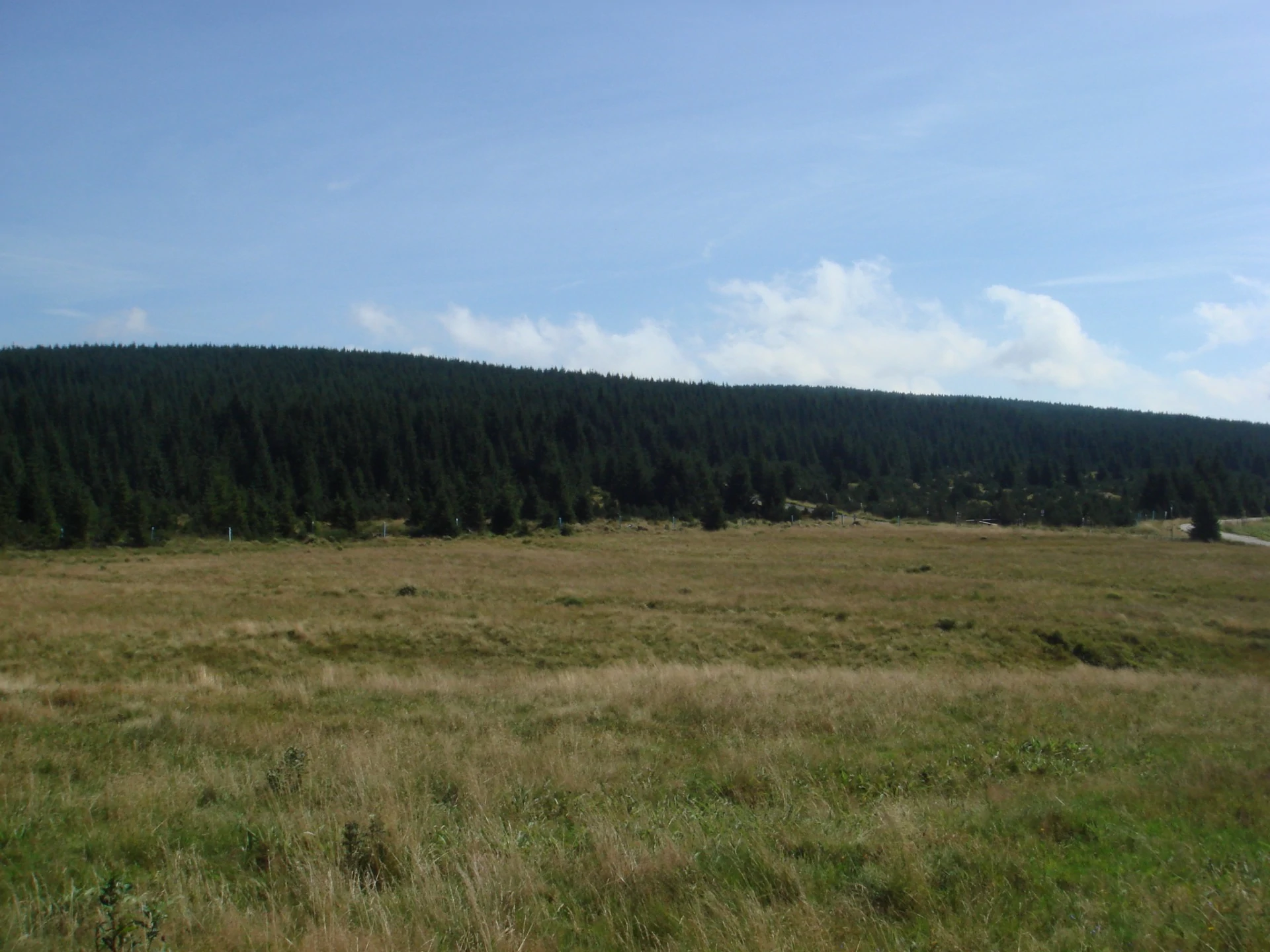 Featured image for “Jizerka 🌲🏞️”