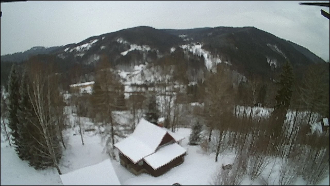 Featured image for “Poslední pohled z ptačí perspektivy”