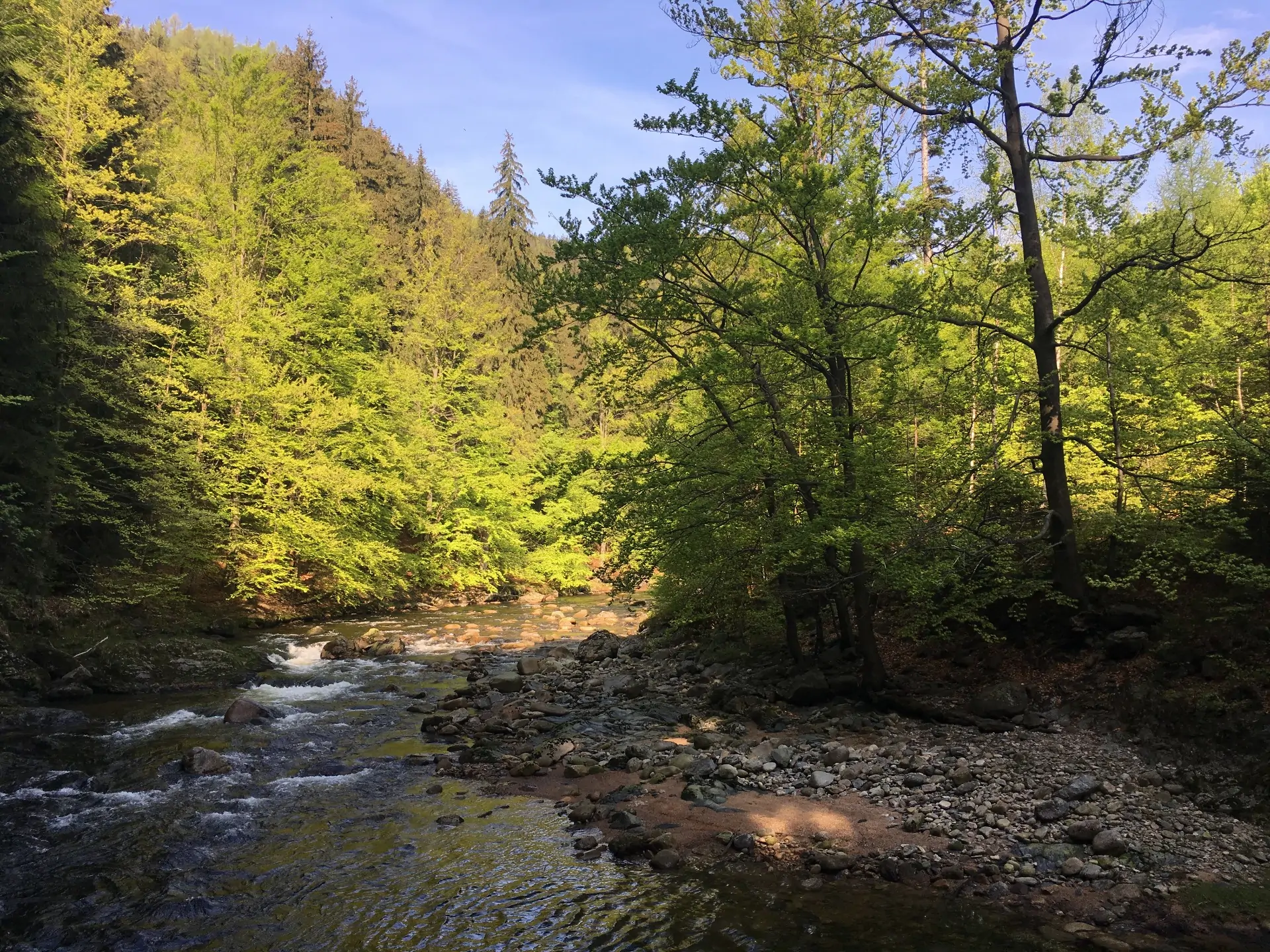 Featured image for “Jizera – koupání a procházka k řece 💦🌲”