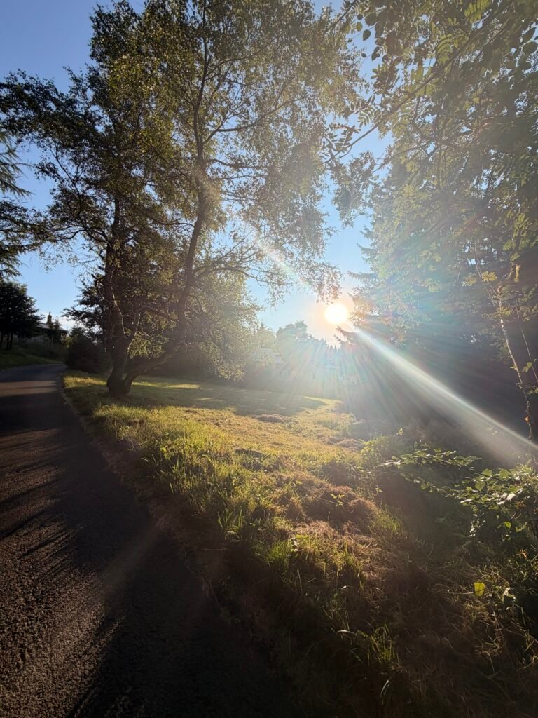 IMG_6697